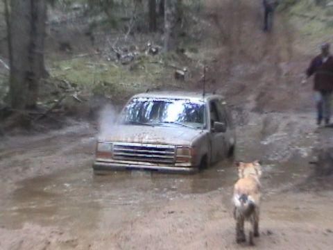 1994 Ford Explorer - Girlpower gets stuck in the middle of the mud hole, too much throttle and the 32's doesn't get you through.