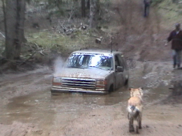 Girlpower gets stuck in the middle of the mud hole, too much throttle and the 32's doesn't get you through.