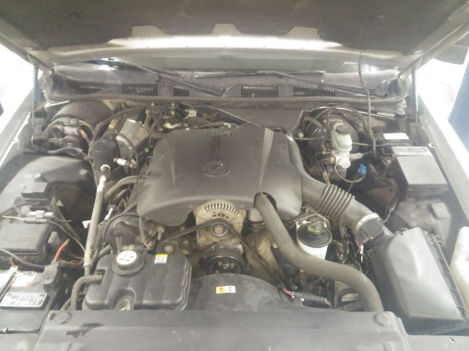 Photo of a V8 engine bay