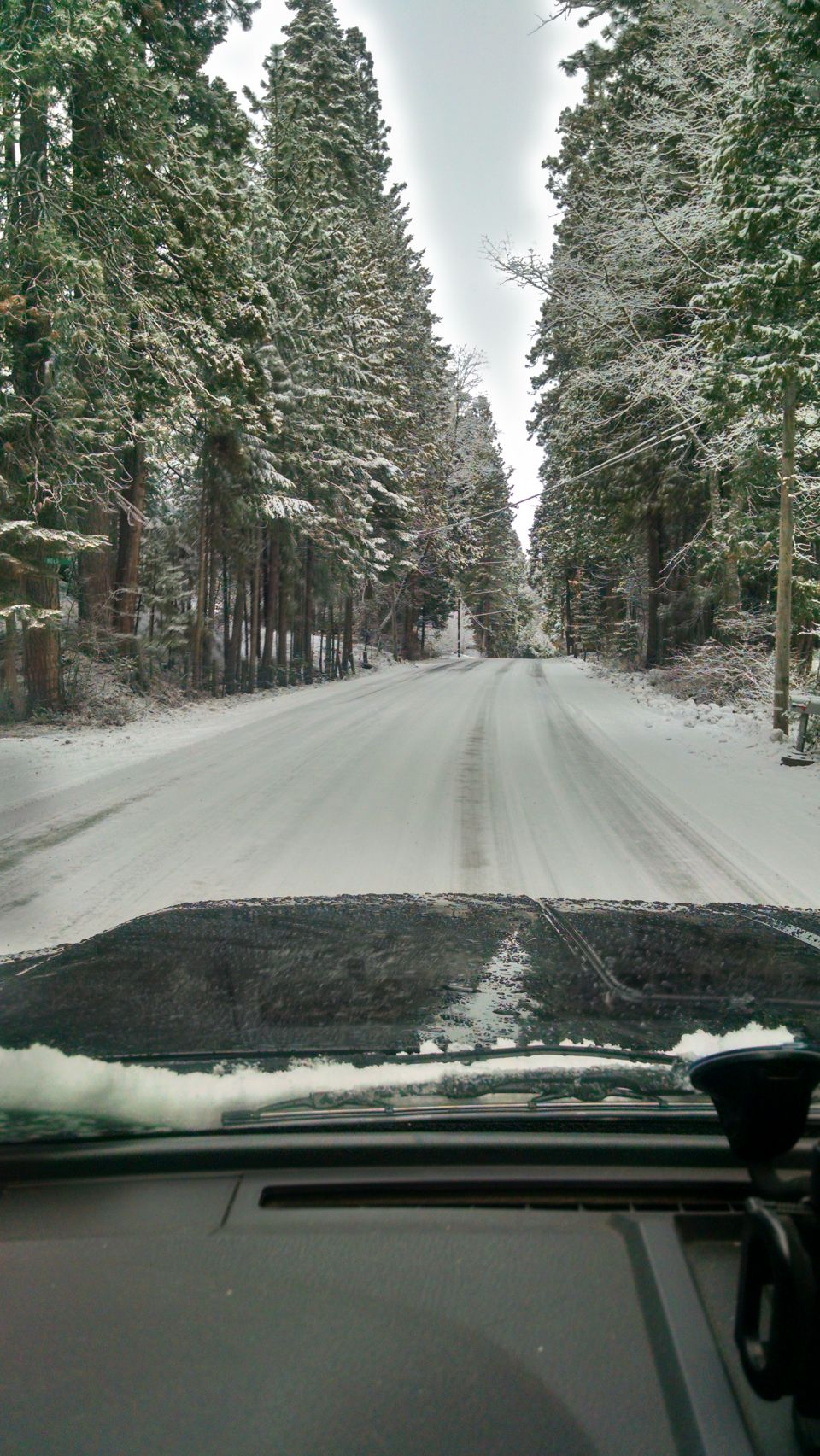 View from inside a vehicle driving on a snow-covered road through a forest.