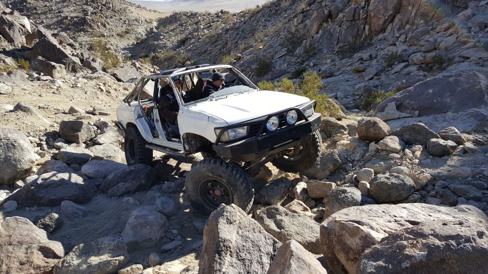 1993 Toyota 4Runner “Party Wagon”