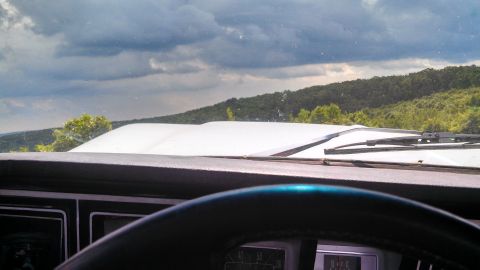 1979 Ford Bronco - View from the driver's seat of a 1979 Ford Bronco, looking over the dashboard and hood at a tree-covered hillside under a cloudy sky.