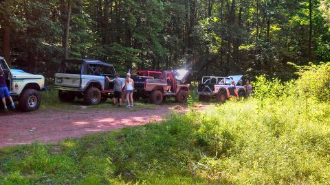 1979 Ford Bronco - Four off-road vehicles are parked on a dirt path in a wooded area. Three of the vehicles are Broncos, with one appearing to be a 1979 model…