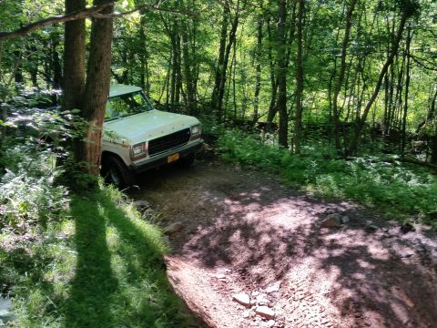 1979 Ford Bronco - A light-colored Ford pickup truck is parked on a dirt path in a wooded area. The truck is angled towards the right, with its front end visi…
