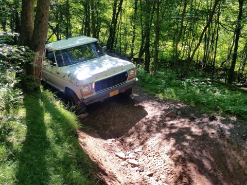 1979 Ford Bronco - A white, older model Ford pickup truck is parked on a dirt road in a wooded area. The truck is angled towards the left side of the frame, w…