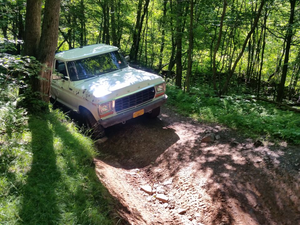 White Ford pickup truck on a dirt road in a forest.