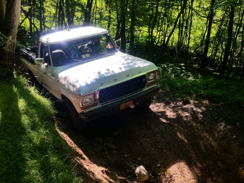 1979 Ford Bronco - A white 1970s Ford pickup truck is driving on a dirt path through a sun-dappled forest. The truck is angled towards the viewer, showing its…
