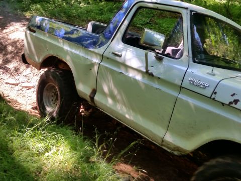 1979 Ford Bronco - The side view of a white 1979 Ford Bronco is shown on a dirt path with green foliage surrounding it. The vehicle has a blue stripe on the r…