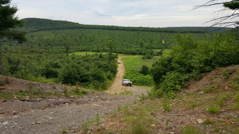1979 Ford Bronco - Two white SUVs drive up a dirt road through a wooded area with a vast forest in the background.
