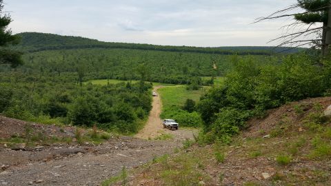 1979 Ford Bronco - A white 1979 Ford Bronco is parked on a dirt road in a wooded, hilly area. The vehicle is viewed from a high angle, looking down the road.