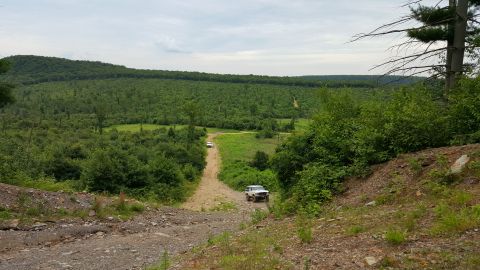 1979 Ford Bronco - Two white SUVs are driving on a dirt road that winds through a heavily wooded area. The foreground shows a steep, rocky incline with sparse…