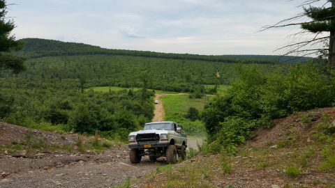 1979 Ford Bronco - A lifted, light-colored 1979 Ford Bronco drives up a dirt road with a dense forest and rolling hills in the background.