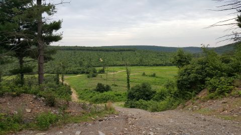 1979 Ford Bronco - A dirt path leads down a hill into a wide, grassy field surrounded by dense green trees and rolling hills under a cloudy sky.