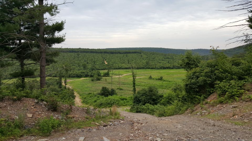 Dirt path leading into a grassy field with trees and hills
