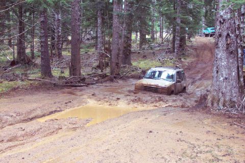 1996 Ford Bronco - Next is Anne (aka GirlPower 4x4). (2/21/2004)