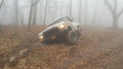 1979 Ford Bronco - A lifted, white 1979 Ford Bronco is stuck in a muddy rut on a foggy forest trail covered in fallen leaves.