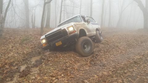 1979 Ford Bronco photo