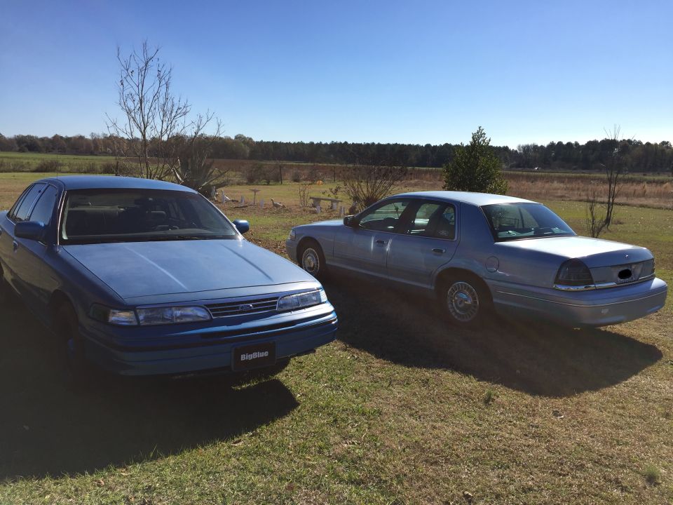 Two blue Ford Crown Victorias parked on grass.