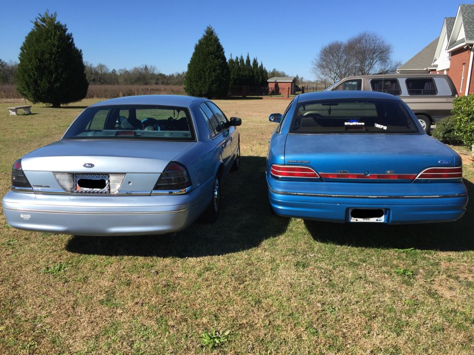Two blue Ford Crown Victorias parked on grass.