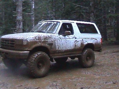 1996 Ford Bronco - Dirty Truck. (by Anne) (2/21/2004)