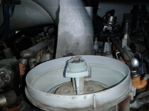 1996 Ford Bronco - This image shows engine parts, specifically fuel injectors and a portion of the intake manifold, not a complete vehicle.