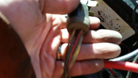 1981 Ford Bronco - Close-up of a hand holding an electrical connector with multiple wires, suggesting a mechanical or electrical component.
