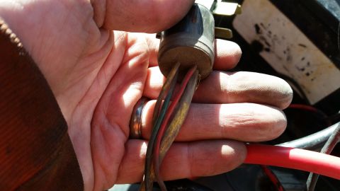 1981 Ford Bronco - A hand holds an electrical connector with multiple wires, likely part of a vehicle's wiring harness.