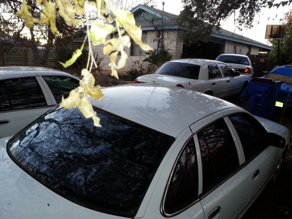 White four-door sedan parked in a driveway with a tree branch in the foreground.