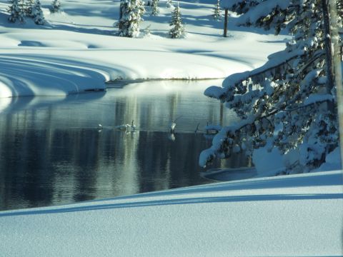 1994 Ford Bronco - Winter landscape photograph of a calm river lined with snow-covered evergreens.