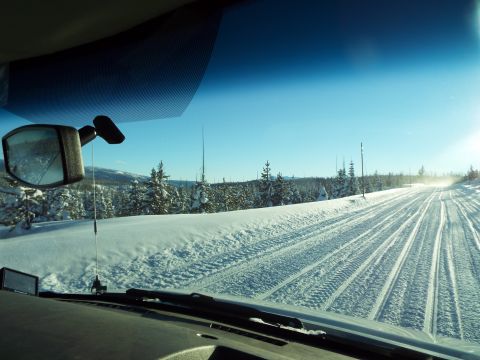 1994 Ford Bronco - Photograph through a vehicle windshield of a snow-packed road through evergreen forest.