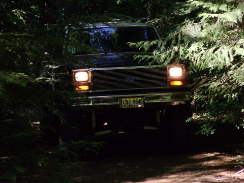 1983 Ford F-150
