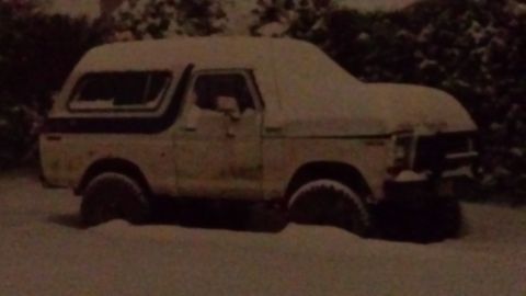 1979 Ford Bronco photo
