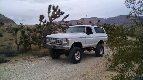 1979 Ford Bronco - A lifted white 1979 Ford Bronco is parked on a dirt road in a desert landscape with Joshua trees and mountains in the background.