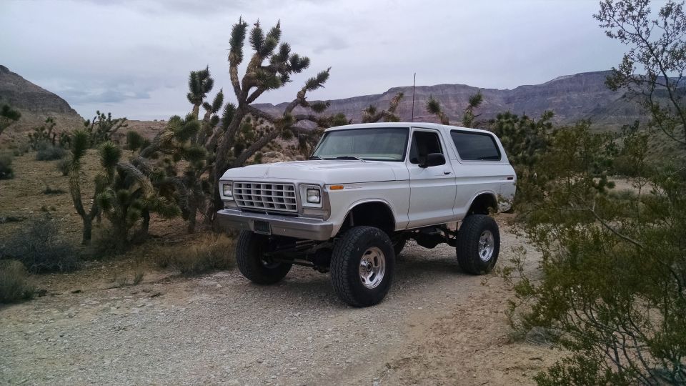 Lifted white 1979 Ford Bronco in a desert landscape with Joshua trees and mountains.