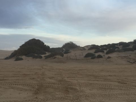 1989 Ford Bronco - A vast expanse of sand dunes stretches under a muted sky, marked by the tracks of vehicles that have passed through.