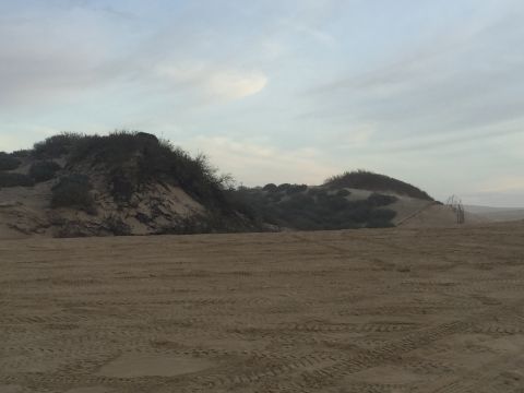 1989 Ford Bronco - A landscape of sandy dunes covered in vegetation, with visible tire tracks in the foreground, under an overcast sky.