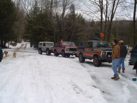 1993 Ford Bronco - Several vehicles are parked on a snowy road surrounded by trees, with two dogs in the foreground.