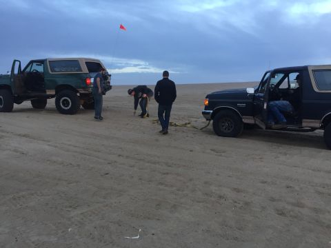 1989 Ford Bronco - Two Ford Broncos are seen on a sandy beach, with people interacting between them.
