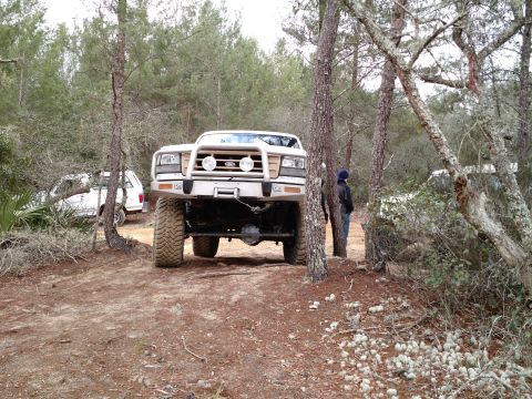 1992 Ford Bronco - Modified 1992 Ford Bronco with off-road tires and bull bar in a wooded area.
