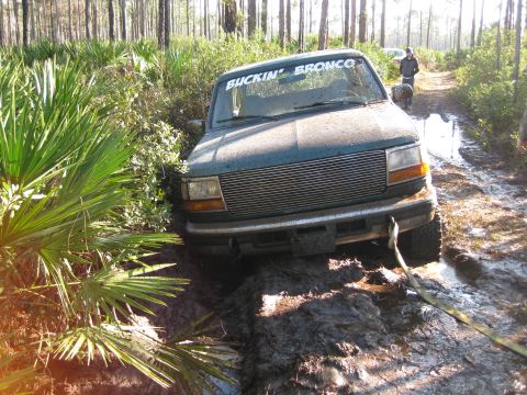 1994 Ford Bronco - 1994 Ford Bronco stuck in mud on a wooded dirt track, with a winch strap attached.