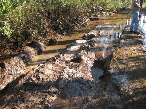 1994 Ford Bronco - A muddy trail with deep ruts and standing water, suggesting difficult off-road conditions.