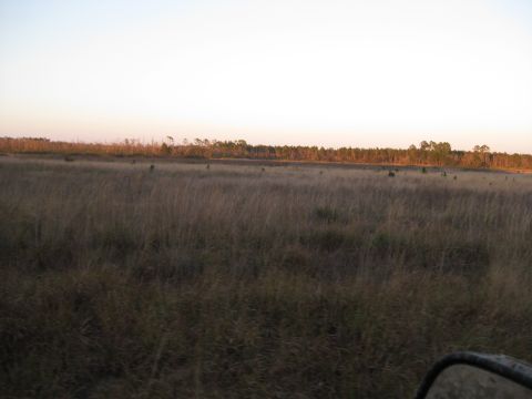 1994 Ford Bronco - Expansive field of dry grass with a treeline on the horizon at dusk.