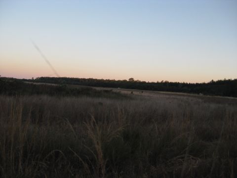 1994 Ford Bronco - The sun sets over a wide, grassy field with a line of trees on the horizon.