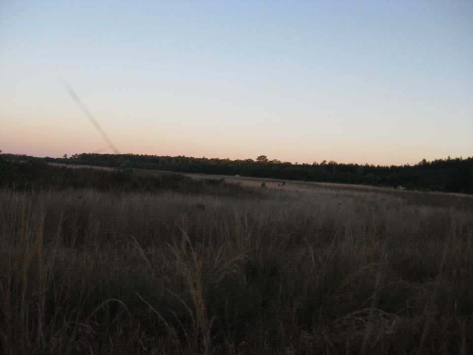 Wide shot of a grassy field with trees in the distance at sunset. A faint contrail is visible in the sky