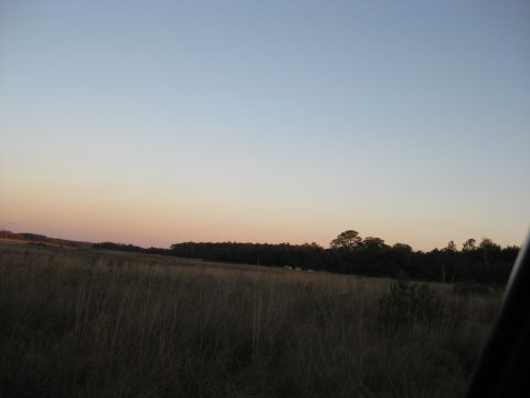 1994 Ford Bronco - Distant vehicles are visible in a wide, grassy field under a fading sky.