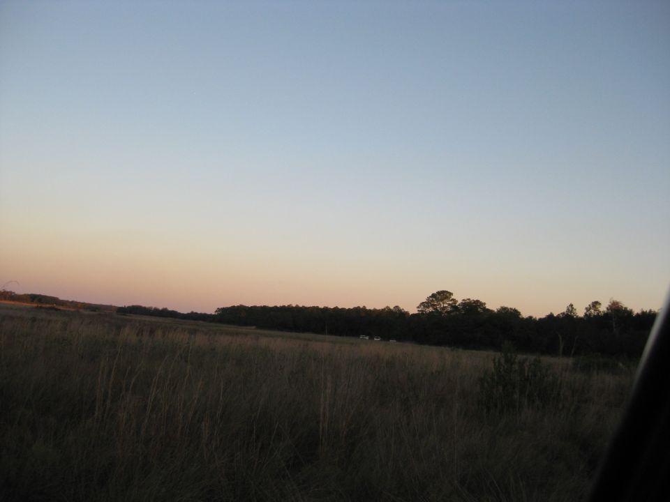 Distant white vehicles in a grassy field at sunset