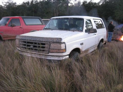 1994 Ford Bronco - A white Ford Bronco sits in tall grass, partially obscured by mud, with another Bronco behind it.