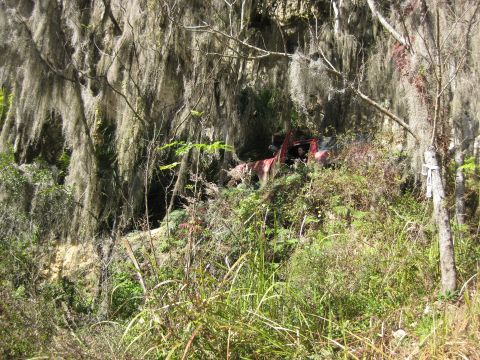 1994 Ford Bronco - A red SUV is seen partially hidden by dense foliage and Spanish moss, suggesting it has been abandoned.