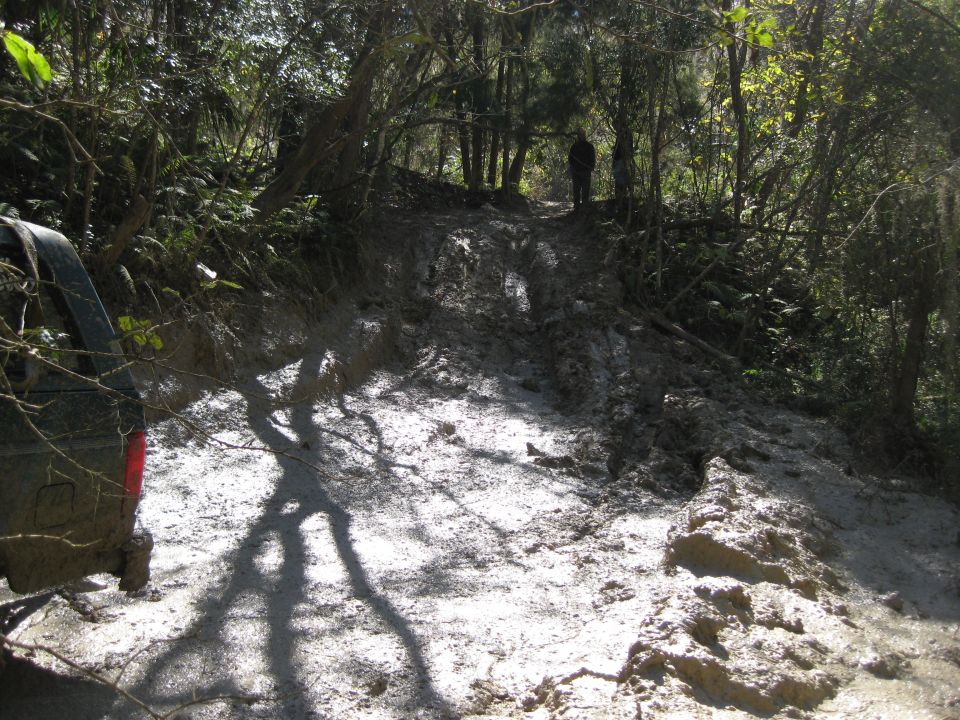 Dark SUV's rear quarter panel and taillight visible on a muddy, wooded trail