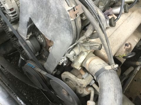 1995 Holden Astra - Close-up view of the engine bay, focusing on the serpentine belt system and associated pulleys and hoses.